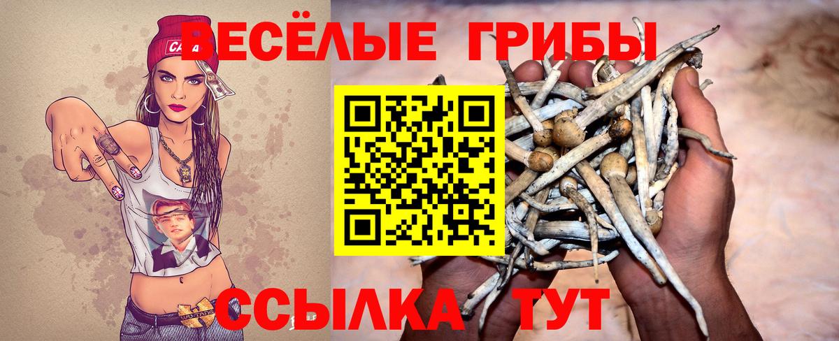 Галлюциногенные грибы Psilocybine cubensis  Вход с VPN  Галлюциногенные грибы Psilocybine cubensis  Камышин 