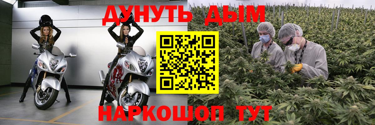 Канабис Bruce Banner  Вход с VPN  МАРИХУАНА THC 21%  Марихуана Ganja  Камышин 